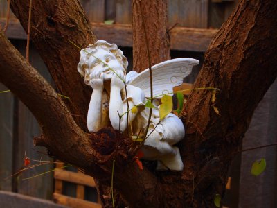 Pensive angel