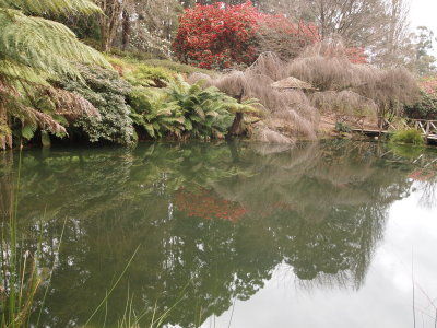 Rhododendrum gardens.