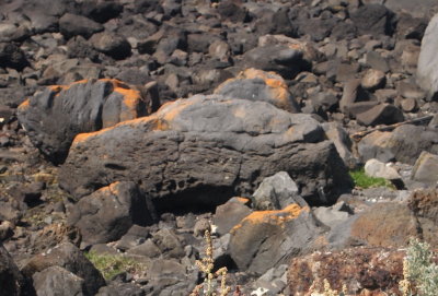 Rocky beach