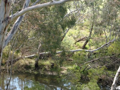 Werribee River