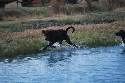 DSC_3946_edited-1.jpg