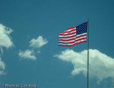 Flag Day 6-14-2010