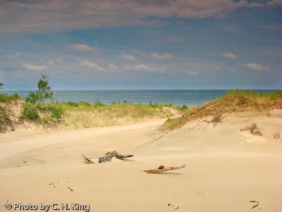 Sand Dunes & Lake Michigan