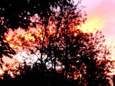 Pr-do-sol lindo!