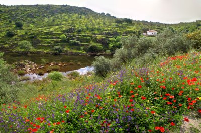 Panorama Extremadura