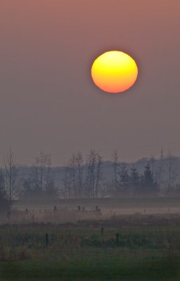 Opkomende zon