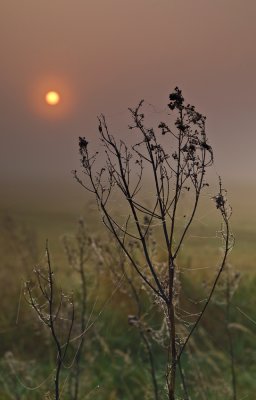 Opkomende zon