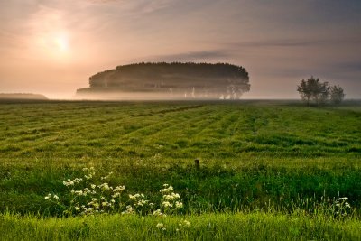 Ochtendlicht