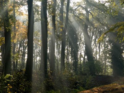 Herfst in Windesheim