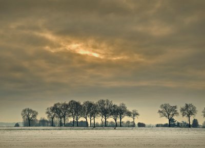 Winterlandschap bij Elburg