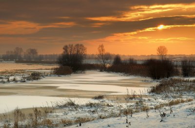 De uiterwaarden van de IJssel