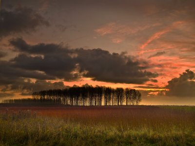 Ochtend bij Herxen