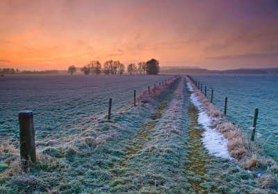 Paadje door de weilanden