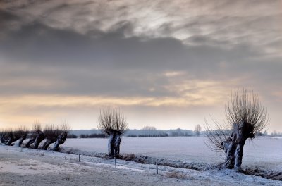 Winterlandschap