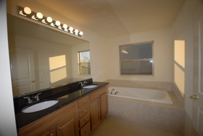 Owner's Suite Bath