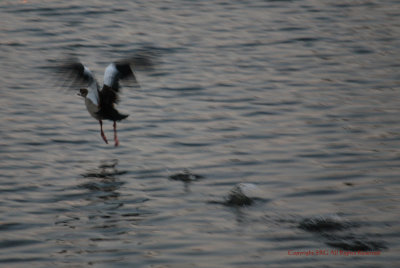 The take off