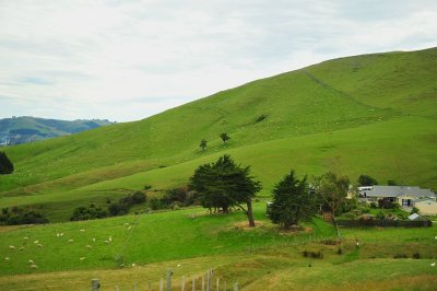 PC-DSC_6632.JPG