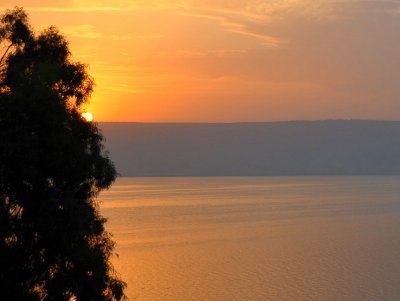 DSC_4467.jpg
