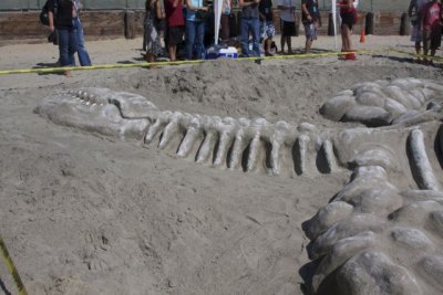 Paleontological Dig
