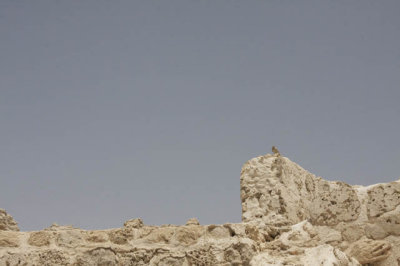 07JUN08 - Bahrain Fort