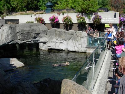Vancouver Aquarium 1