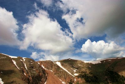 IMG_4824.jpg