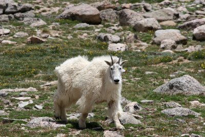 IMG_5235.jpg