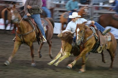 IMG_5535.jpg