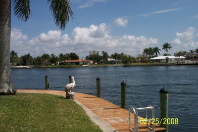 g1/32/316432/3/93982855.KYzK6IUd.jpg