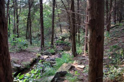 Spring on brother-in-law's property