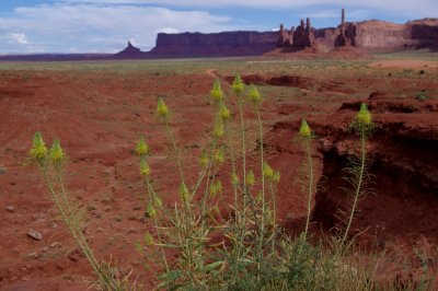 Monument Valley