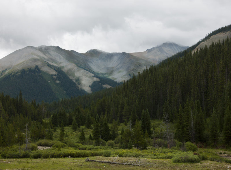 A0014300.jpg
