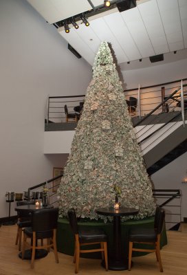 IMG_8370.jpg