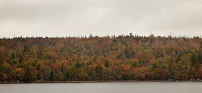 IMG_0033b.jpg