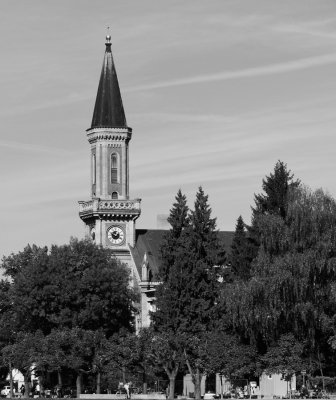 P1070864c.jpg