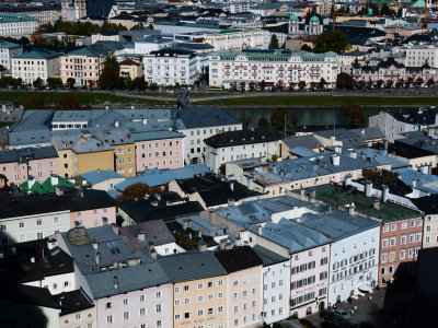 P1080107c.jpg