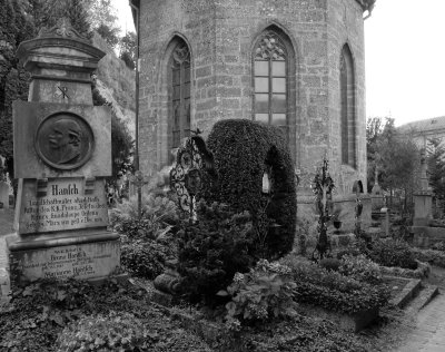 P1080234w.jpg