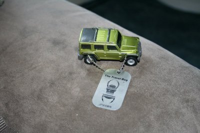 Green Jeep Travel Bug 2.JPG