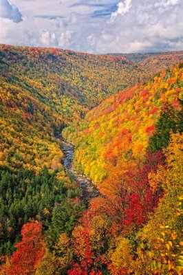 West Virginia Highlands Autumn