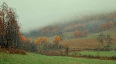 11/13/08 - Misty Rainy Late Fall