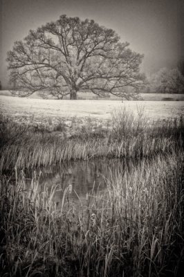 11/18/08 - On an IR Roll...