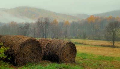 11/30/08 - Harvest's End