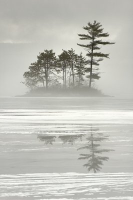 1/2/09 - Frozen Misty Lake