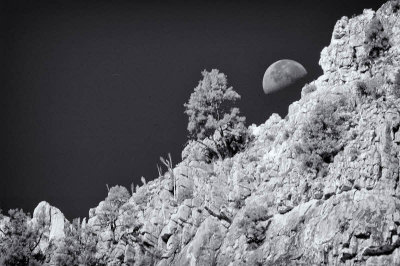 02/28/09 - Kings Canyon Moonset