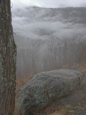 Mountain Mist