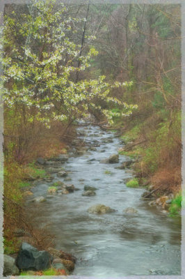 04/20/09 - Spring in the Blue Ridge Mountains