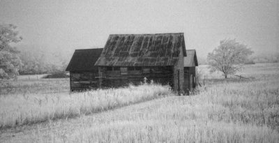 06/25/09 - Old Farm Infrared