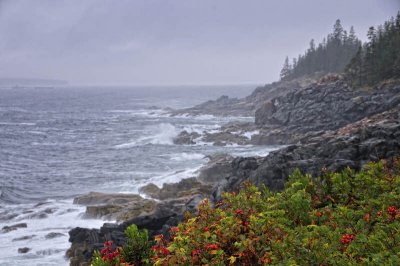 10/12/09 - Maine Coast