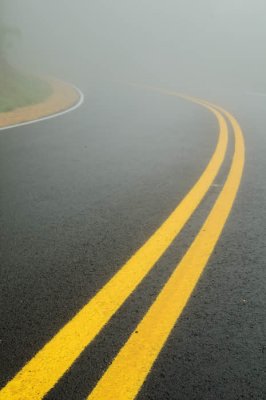 08/22/10 - Skyline Drive - How to become Roadkill in the Rain & Fog