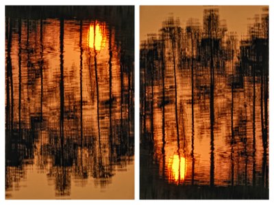 09/05/10 - Yet Another Sunrise/set  - Reflection as Shot & Flipped (preference?)